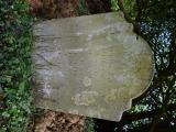 image of grave number 898541